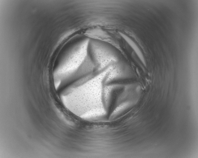 X0000082160626200702021701