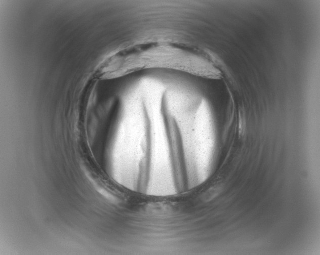 X0000082160627200702021701