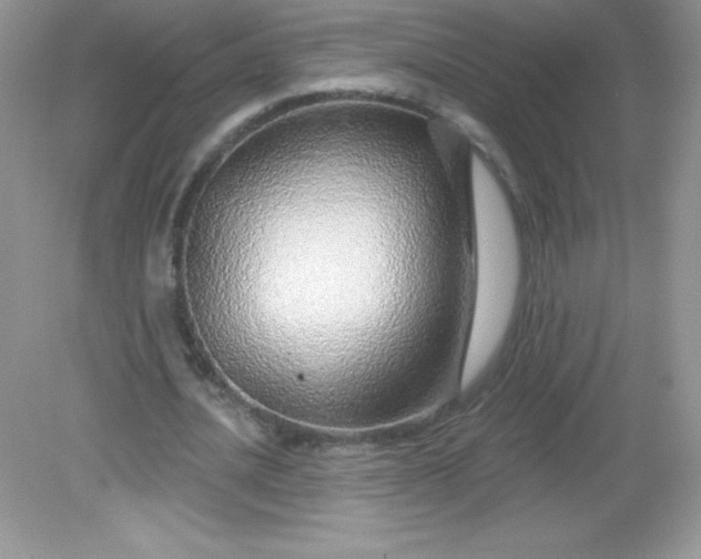 X0000082160628200702021701