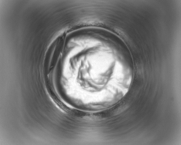 X0000082160630200702021701