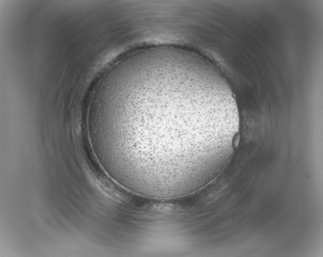 X0000082160631200702021702