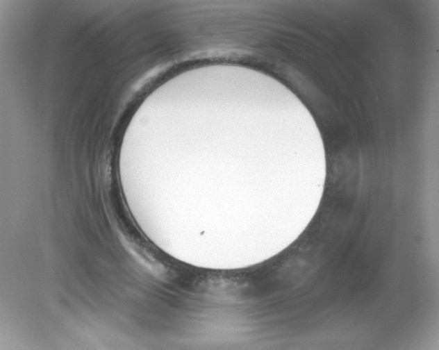 X0000082160632200702021702