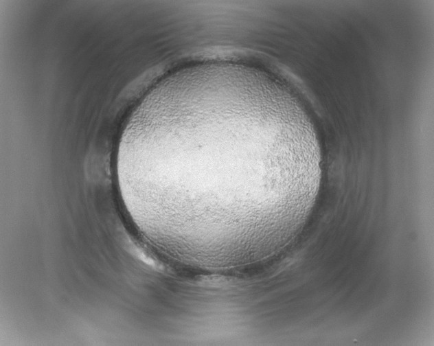 X0000082160633200702021702