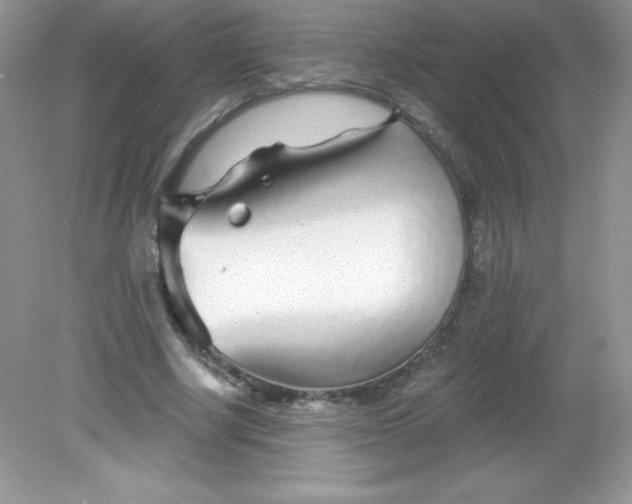 X0000082160634200702021702