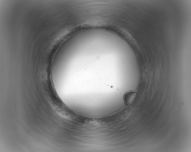 X0000082160635200702021702