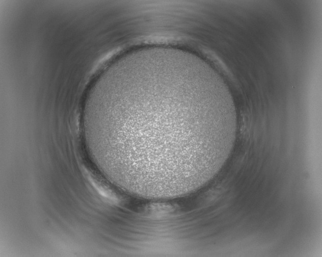 X0000082160636200702021702