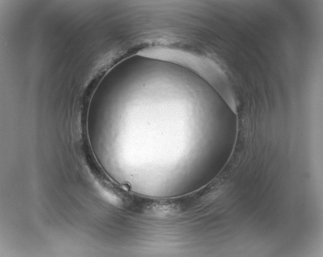 X0000082160638200702021702