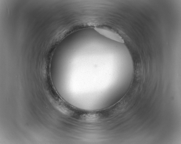 X0000082160639200702021702