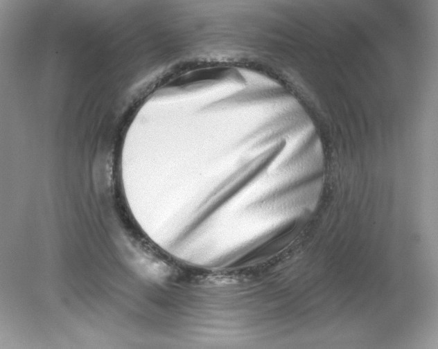 X0000082160640200702021702