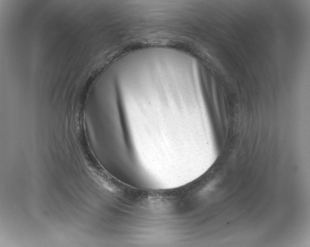 X0000082160641200702021702