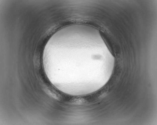 X0000082160642200702021702