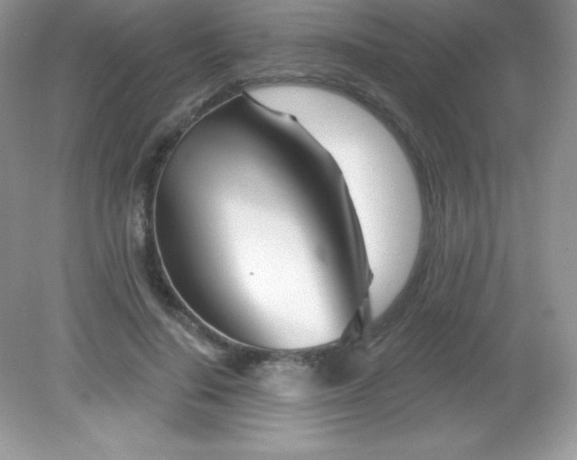 X0000082160644200702021702