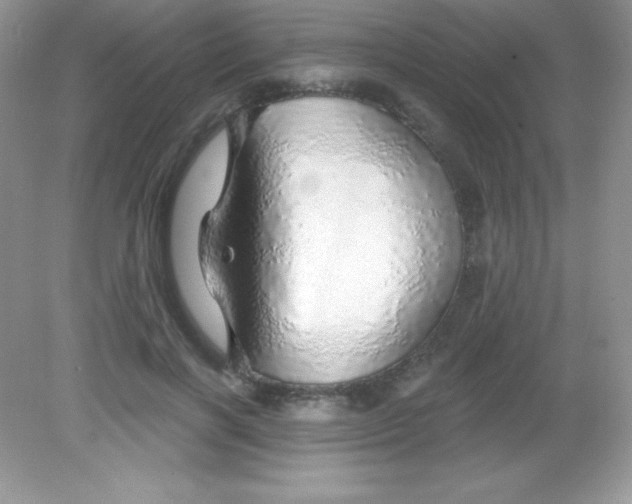 X0000082160646200702021702