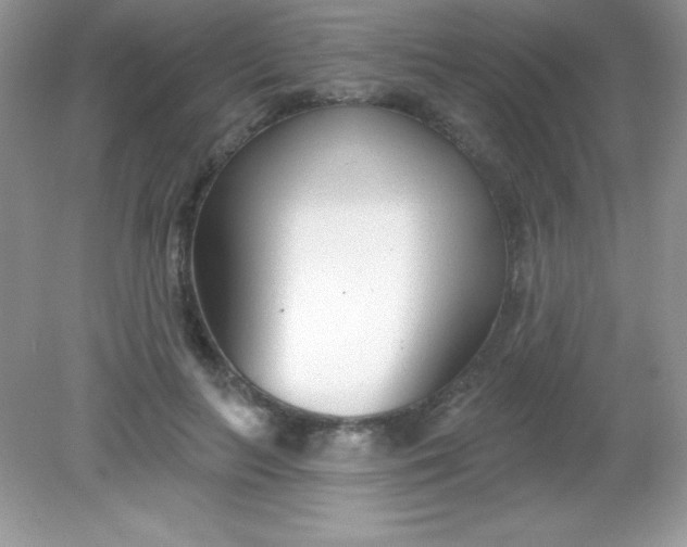 X0000082160647200702021702