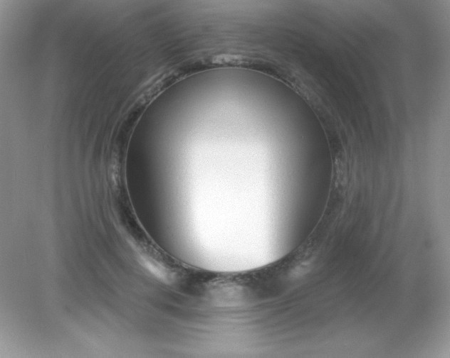 X0000082160648200702021702