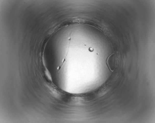 X0000082160649200702021702