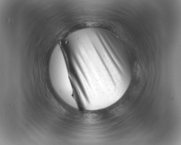 X0000082160650200702021702