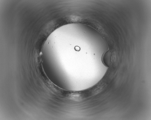 X0000082160651200702021702