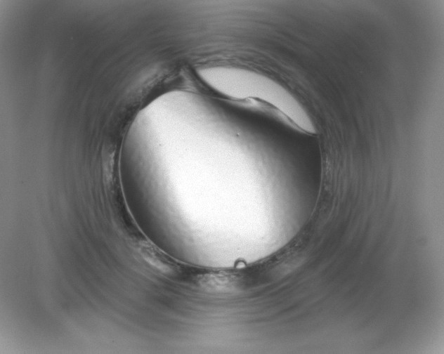 X0000082160652200702021702