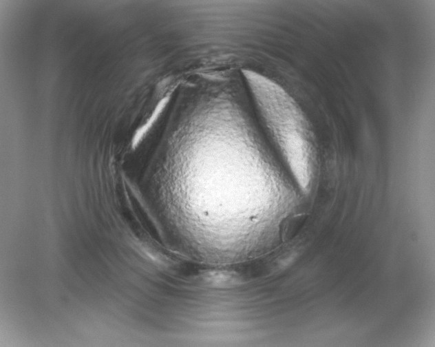 X0000082160654200702021702