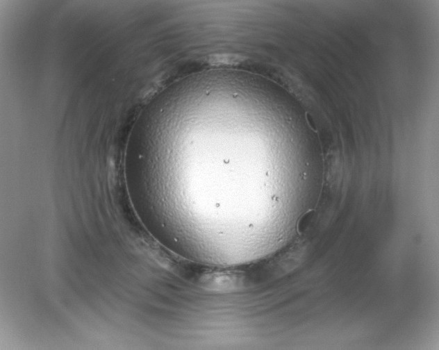 X0000082160655200702021702