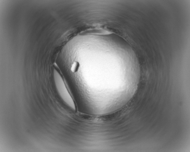 X0000082160656200702021702