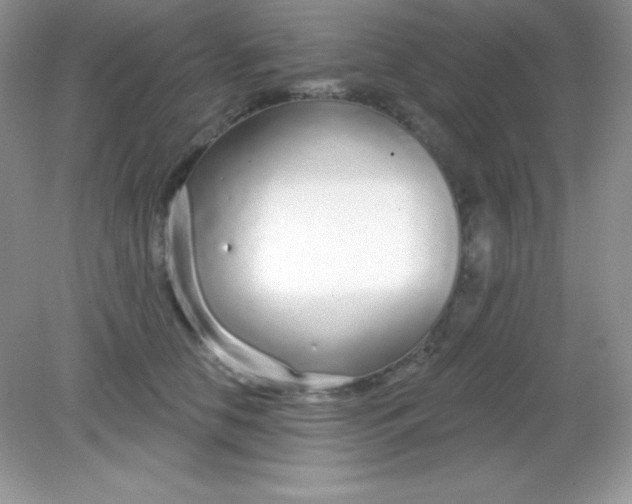 X0000082160658200702021702