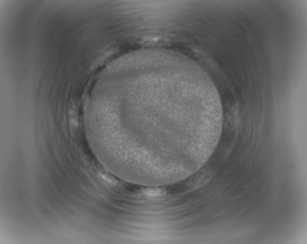 X0000082160659200702021702