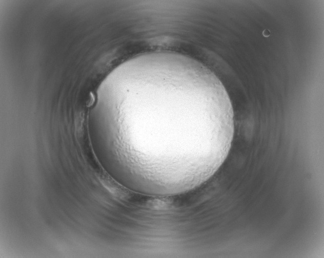 X0000082160660200702021702