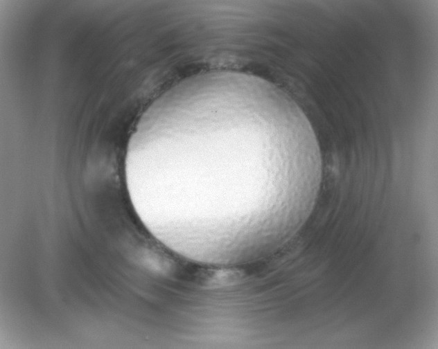 X0000082160663200702021702