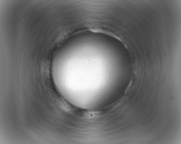 X0000082160664200702021702