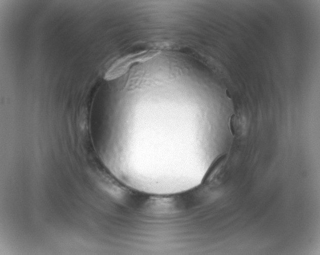 X0000082160665200702021702