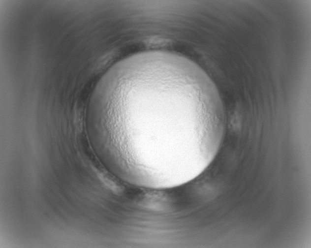 X0000082160666200702021702