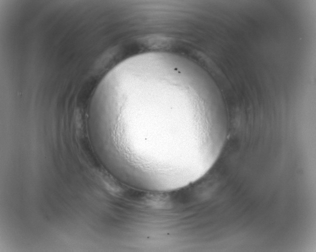 X0000082160667200702021702