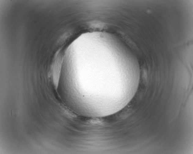 X0000082160668200702021702