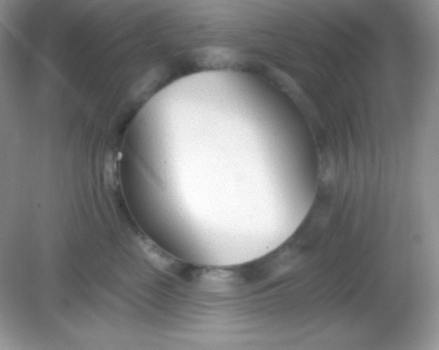 X0000082160669200702021702