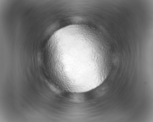 X0000082160670200702021702