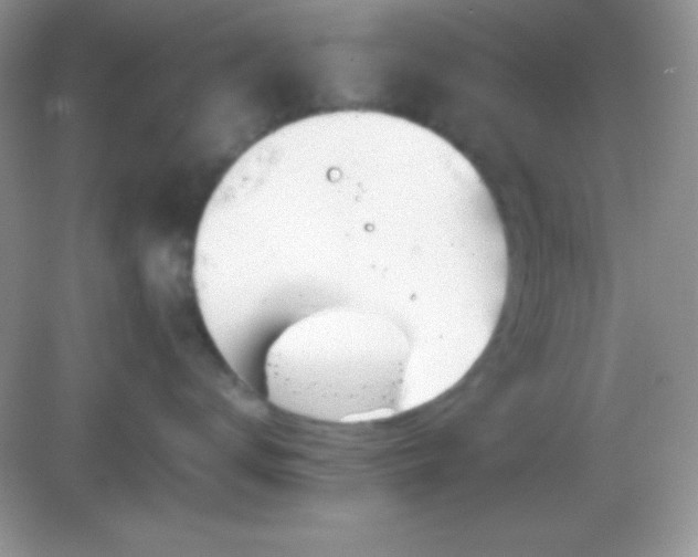 X0000082160672200702021702