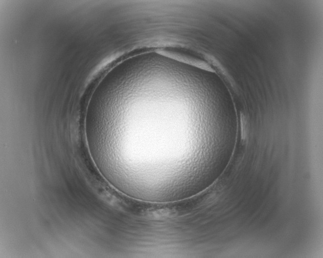 X0000082160675200702021701