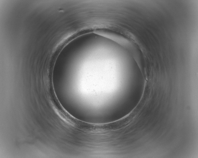 X0000082160677200702021701