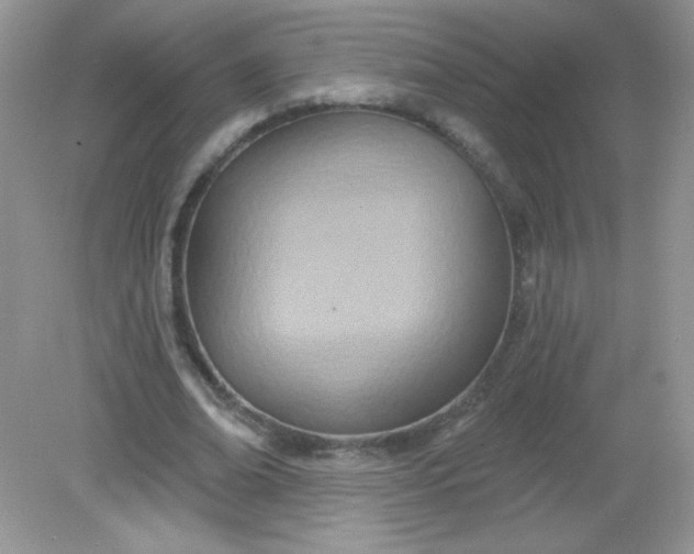 X0000082160678200702021701