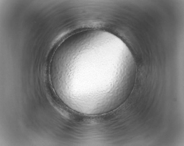 X0000082160679200702021701