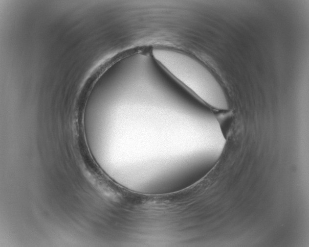 X0000082160680200702021701