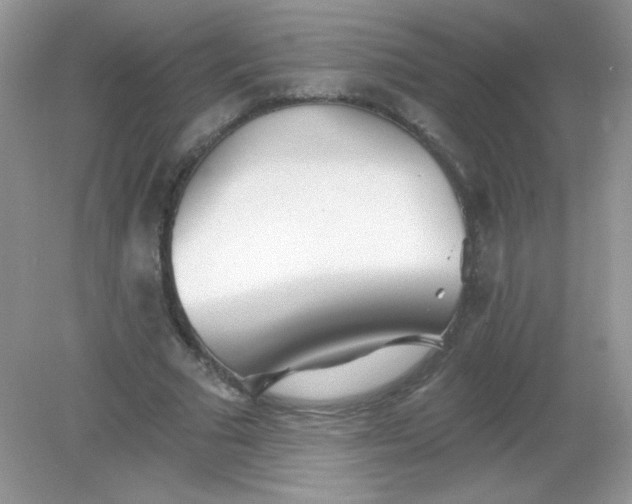 X0000082160681200702021701