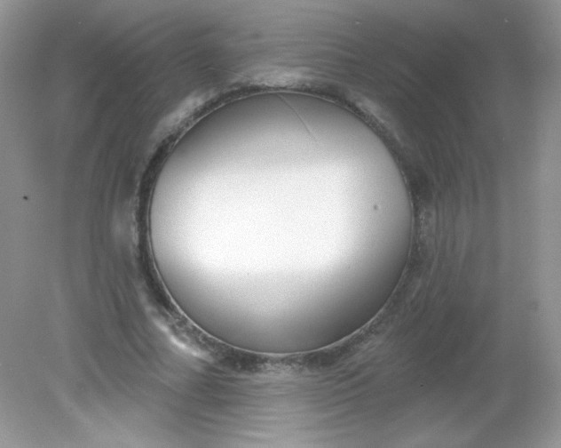 X0000082160682200702021701