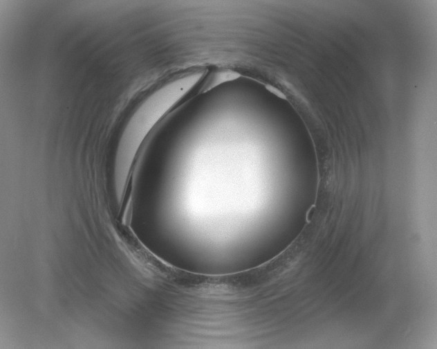 X0000082160685200702021701