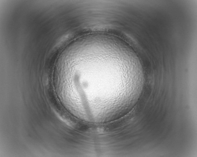 X0000082160687200702021701