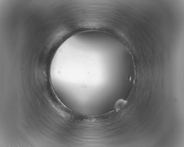 X0000082160688200702021701