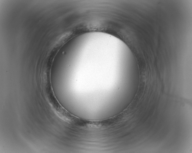 X0000082160690200702021701