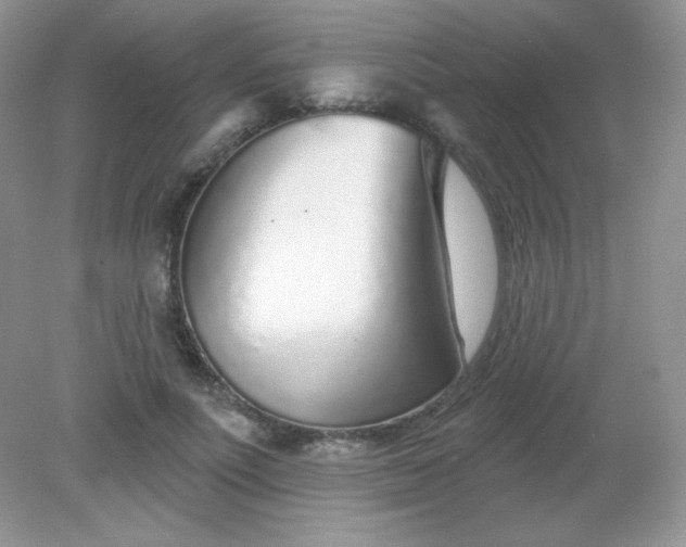 X0000082160691200702021701